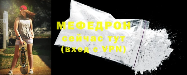 МДПВ Бородино