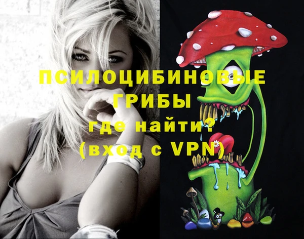 apvp Волосово