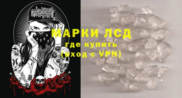 стаф Сосновый Бор