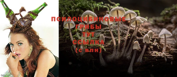 не бодяженный Волоколамск