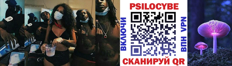 Галлюциногенные грибы Psilocybine cubensis  omg как войти  Железноводск 