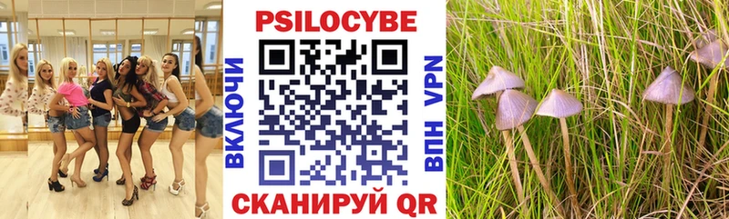 Галлюциногенные грибы Magic Shrooms Железноводск